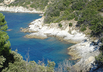 Bild von Colle d'Orano - Costa del Sole - Insel Elba